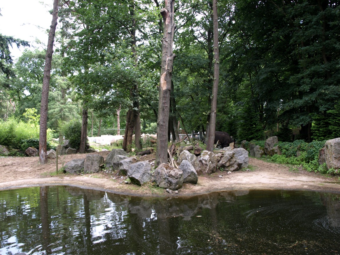 Amersfoort Zoo - Rhino exhibit