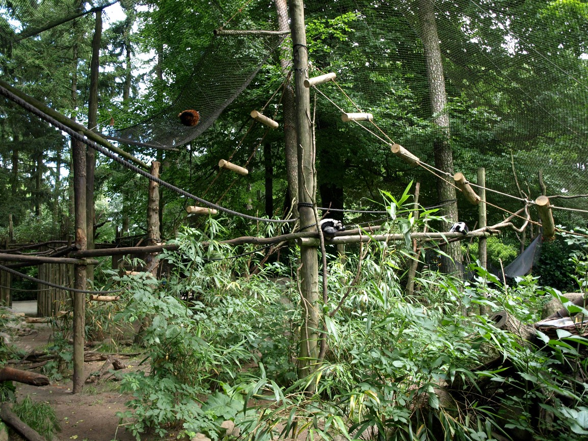 Amersfoort Zoo - Ruffed lemur exhibit