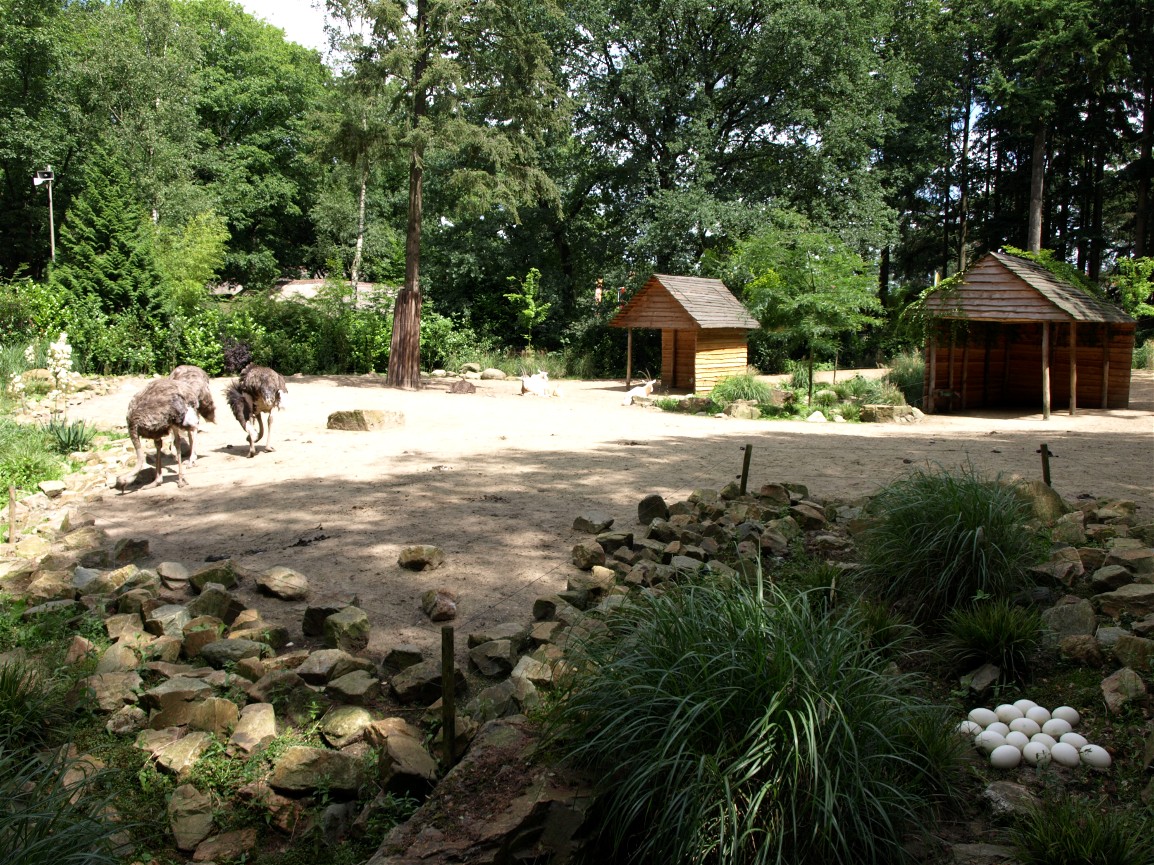 Amersfoort Zoo - Sahara exhibit