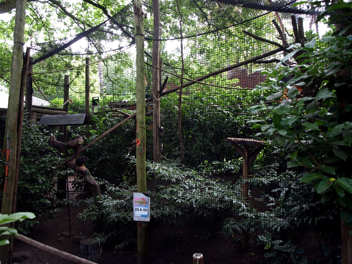 Amersfoort Zoo - Tamarin exhibit
