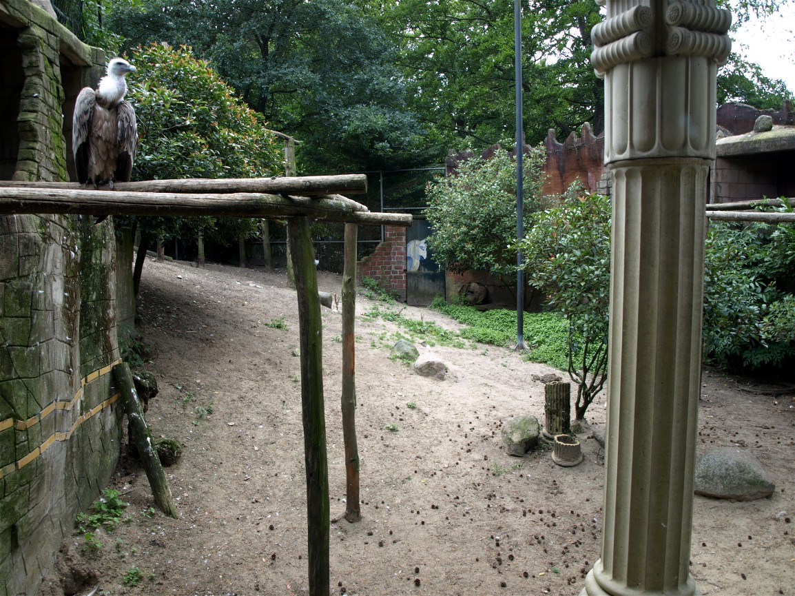 Amersfoort Zoo - The Ancient City