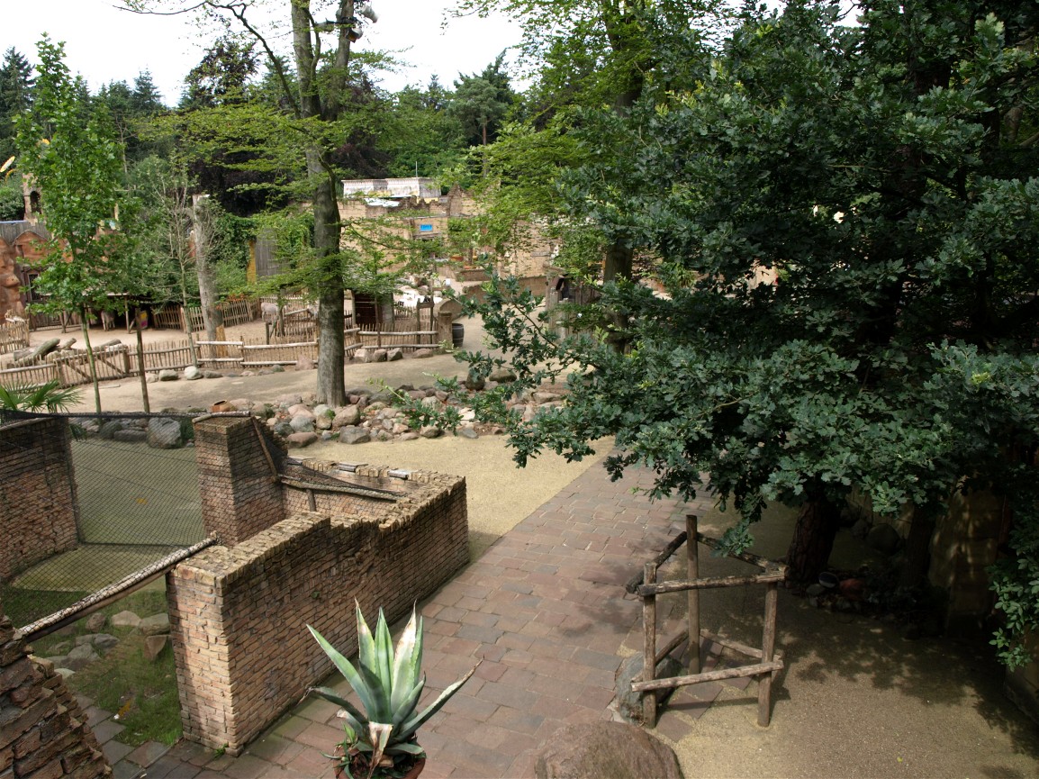 Amersfoort Zoo - The Ancient City