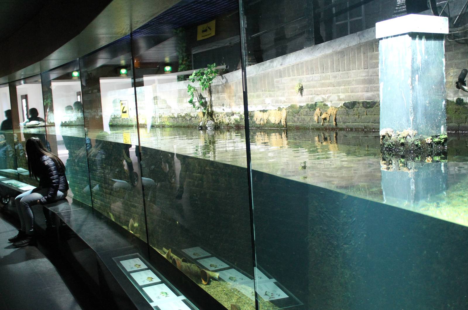 Ameterdam Gracht-aquarium