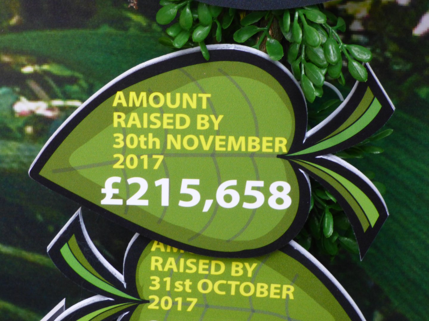 Amount raised for new Orang enclosure