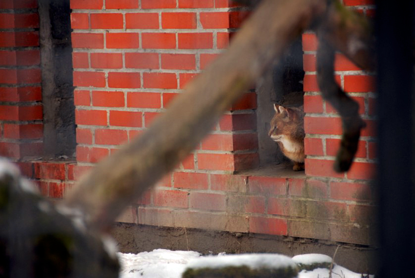 &amp;#346;l&amp;#261;ski Ogród Zoologiczny