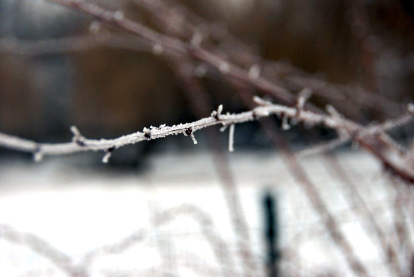 &amp;amp;#346;l&amp;amp;#261;ski Ogród Zoologiczny