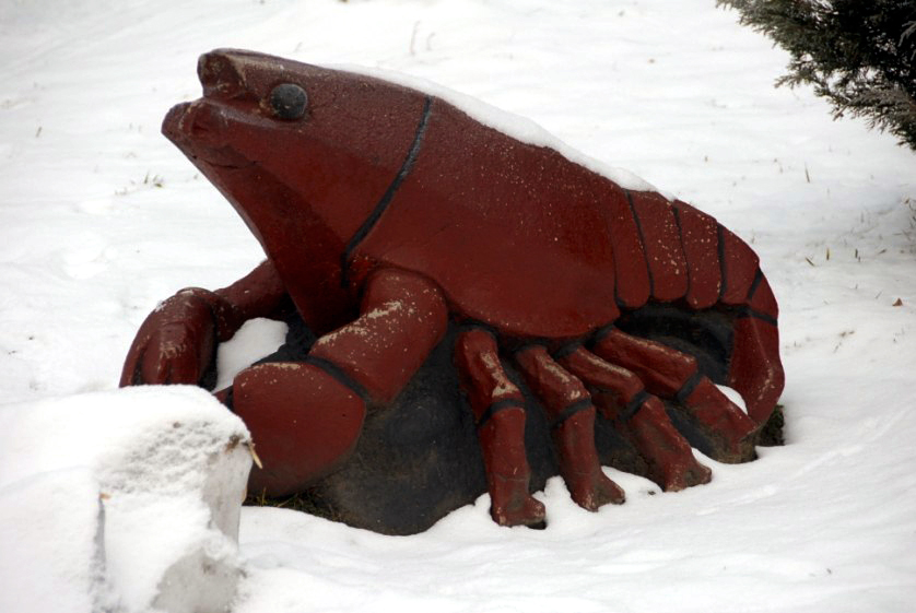 &amp;amp;#346;l&amp;amp;#261;ski Ogród Zoologiczny