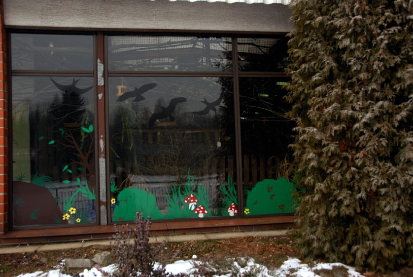 &amp;amp;#346;l&amp;amp;#261;ski Ogród Zoologiczny