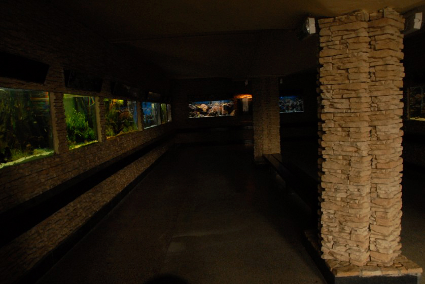 &amp;amp;#346;l&amp;amp;#261;ski Ogród Zoologiczny