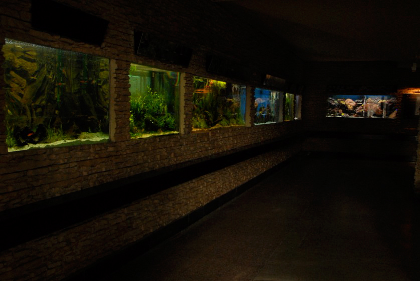 &amp;amp;#346;l&amp;amp;#261;ski Ogród Zoologiczny