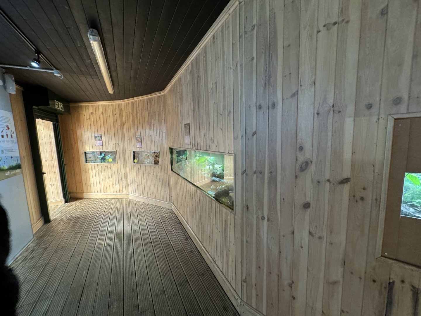 Amphian Exhibits at Tropical World (October 2024)