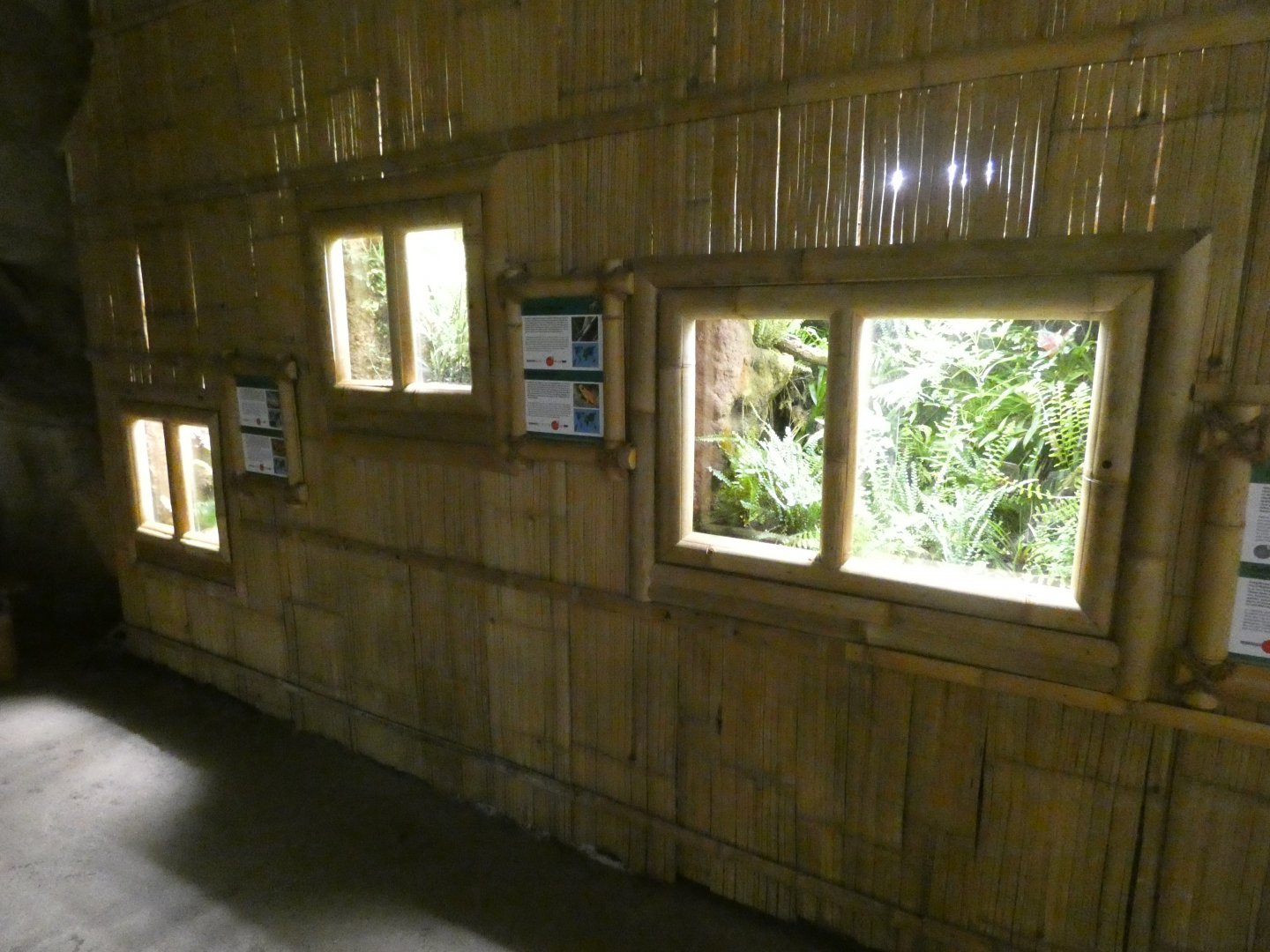 Amphibian and Gecko enclosures in Gondwanaland
