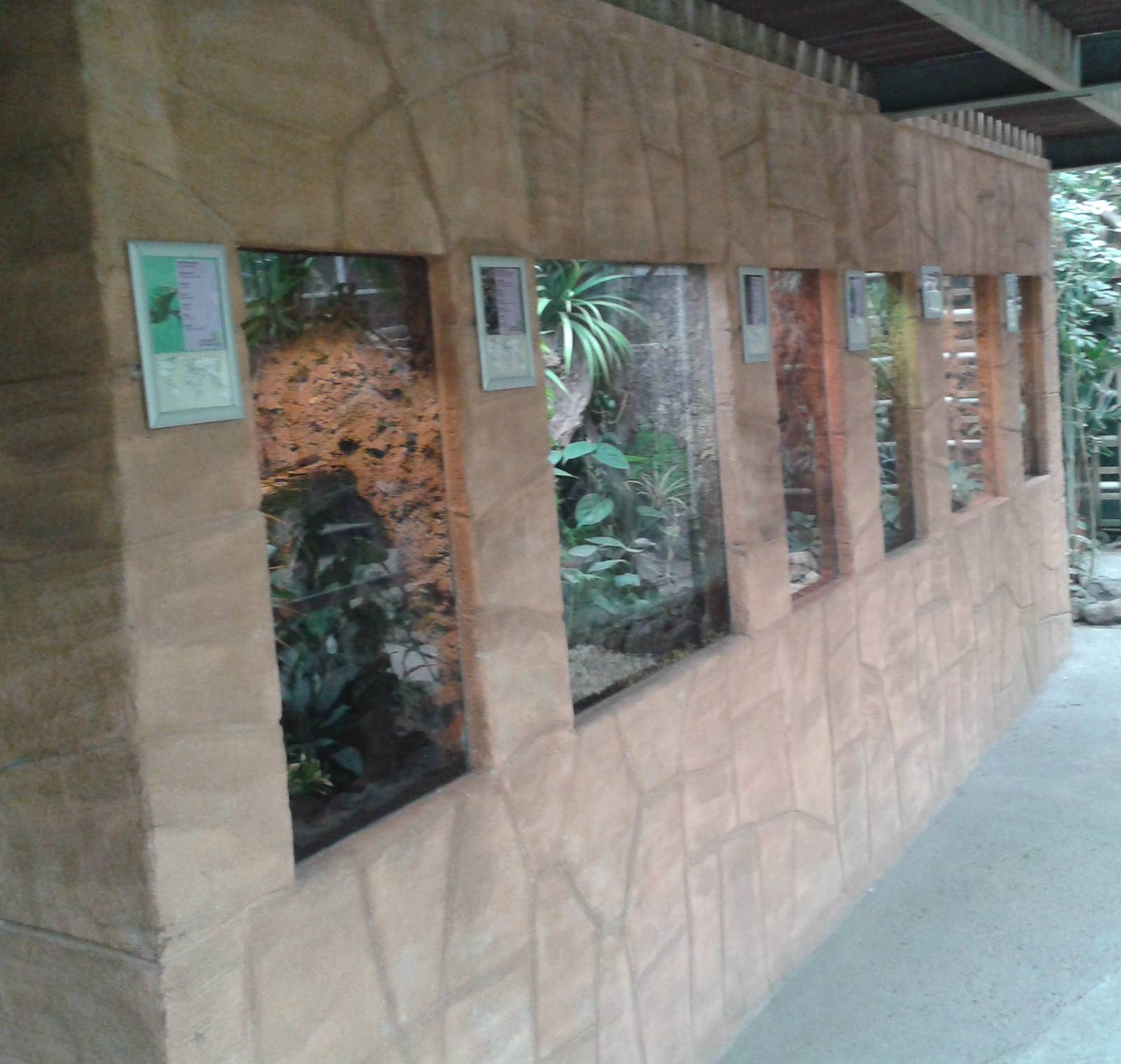 Amphibian- and reptile enclosures