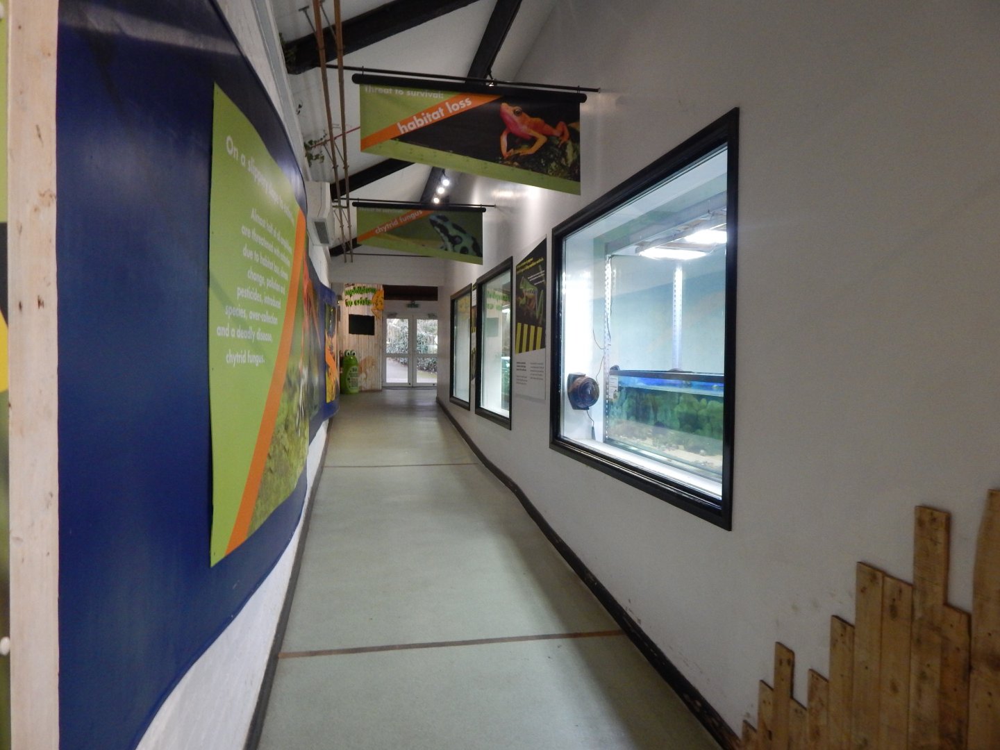 Amphibian Ark 050224