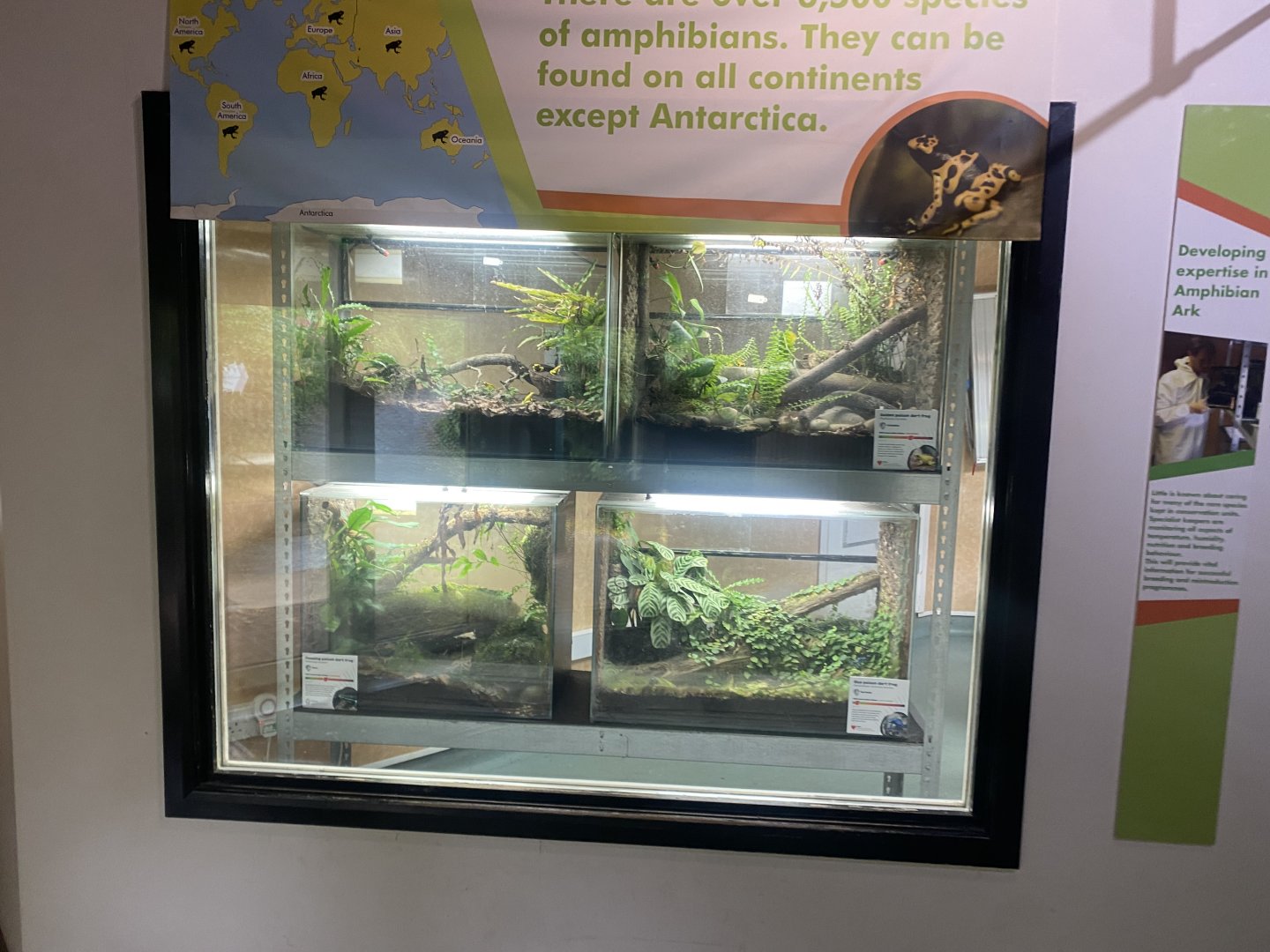 Amphibian Ark 130624