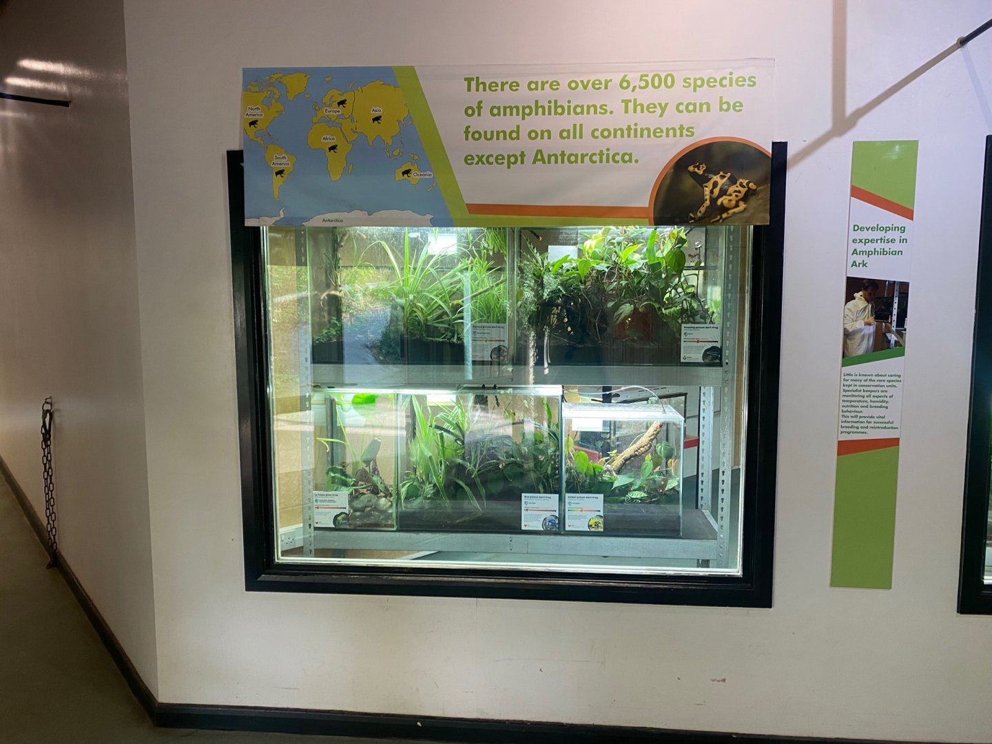 Amphibian Ark 290923