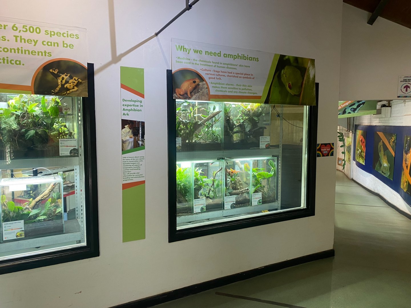 Amphibian Ark 290923