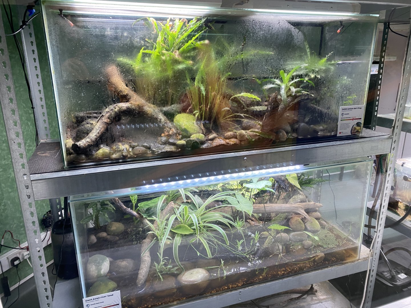 Amphibian Ark exhibits 050224