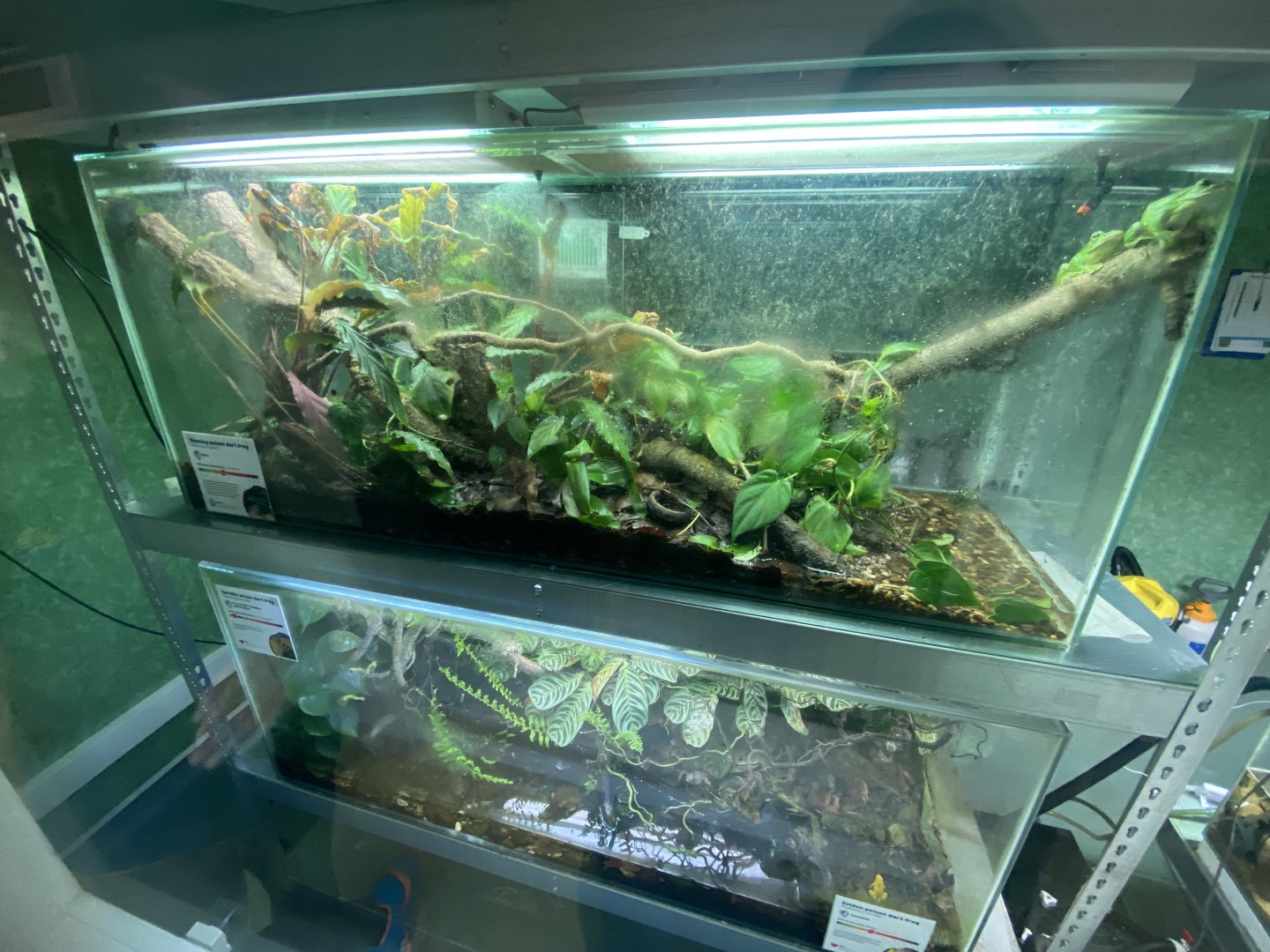 Amphibian Ark exhibits 240222