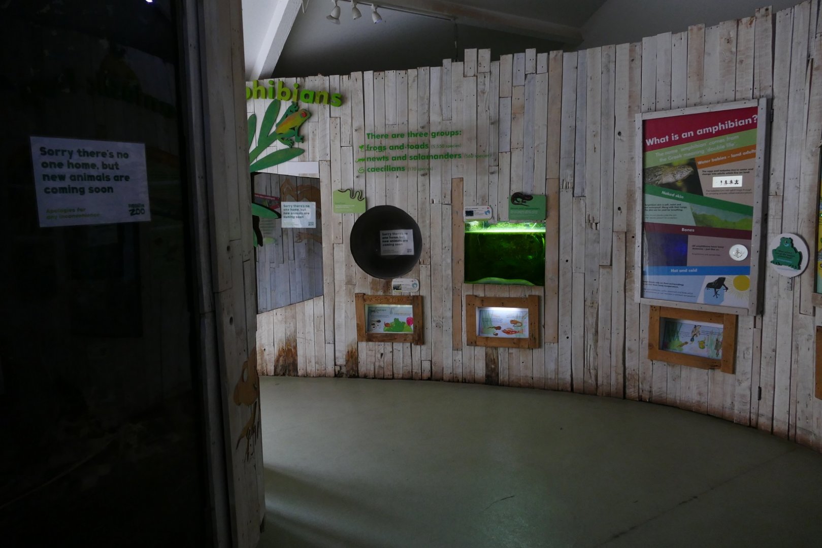 Amphibian Ark, July 2018