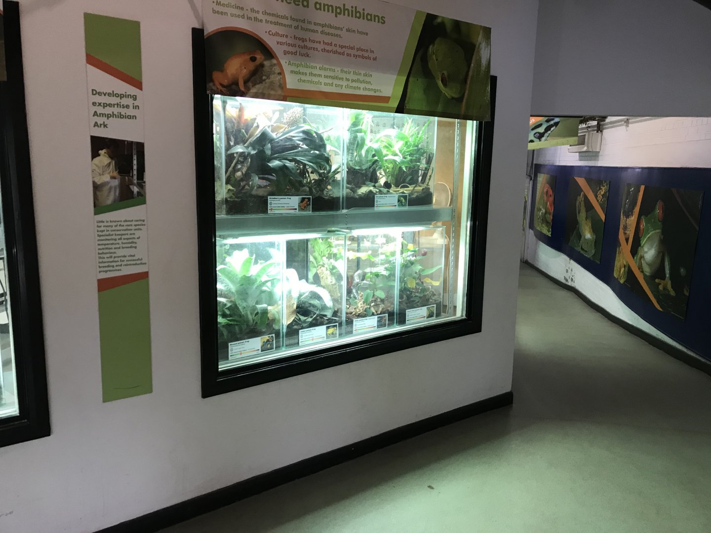 Amphibian Ark vivaria 050119