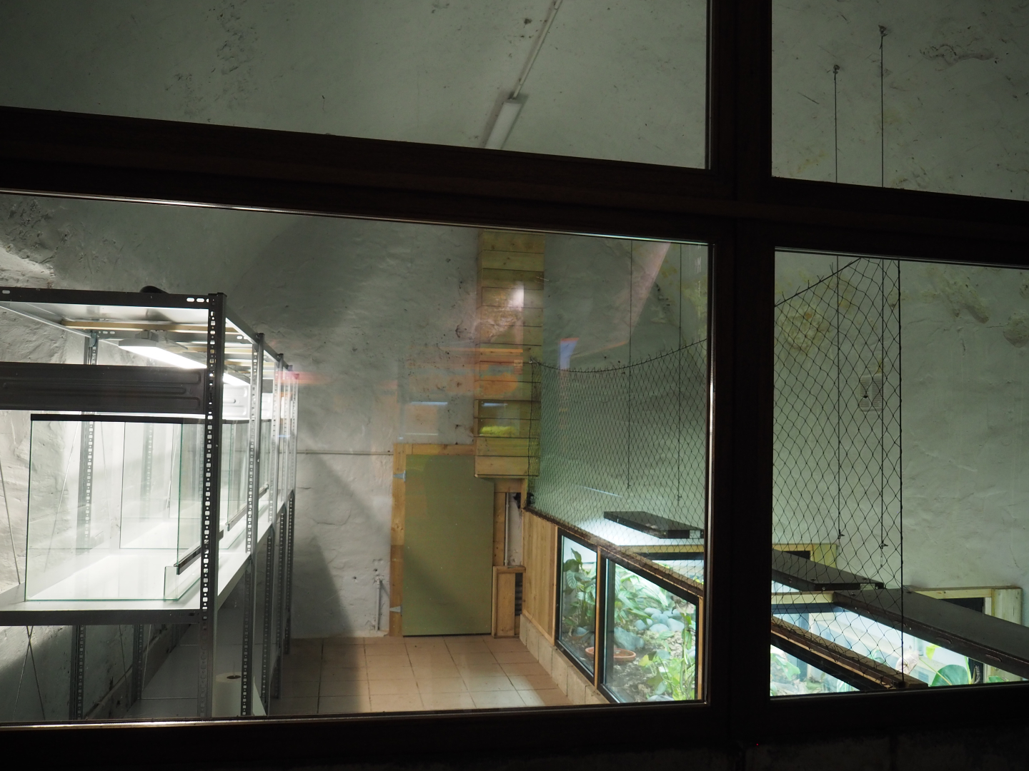 Amphibian breeding room, 2020-09-03