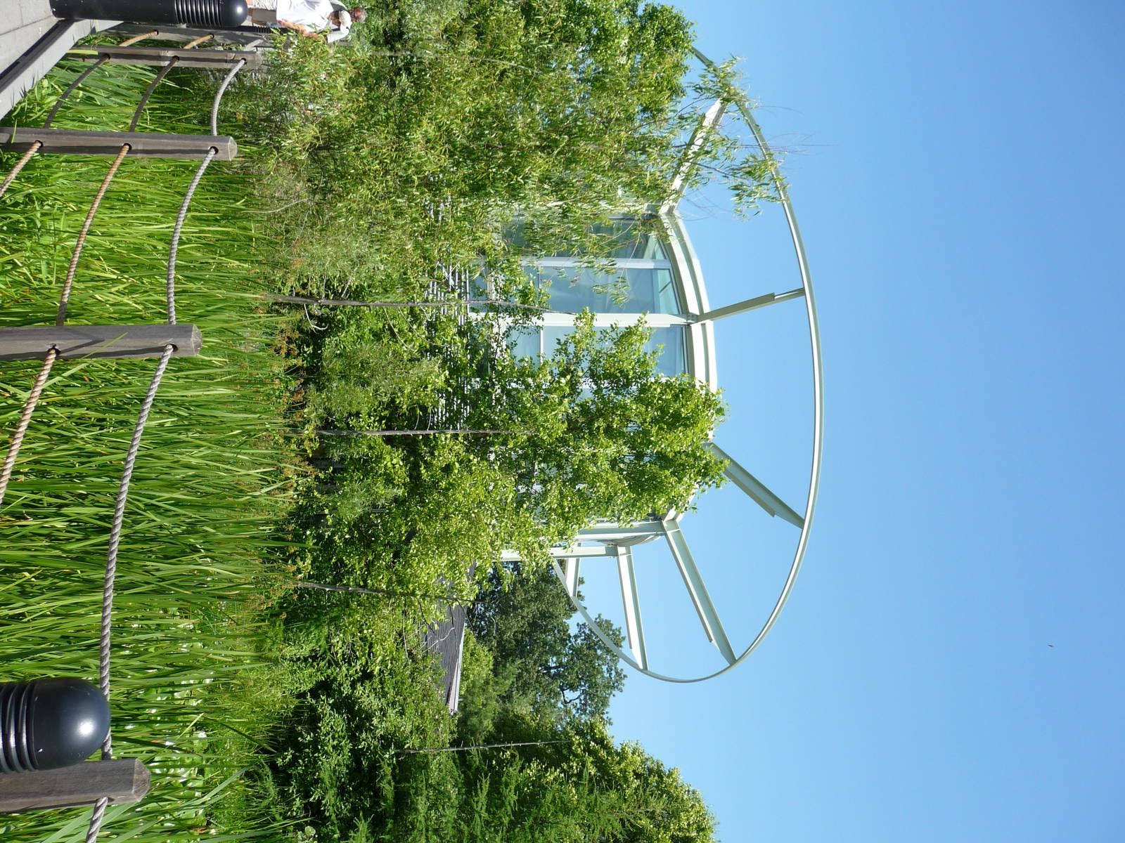 Amphibian Building - Detroit Zoo