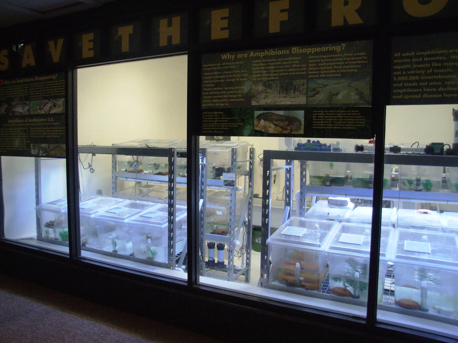 Amphibian Centre at Jacksonville, 10/10/13