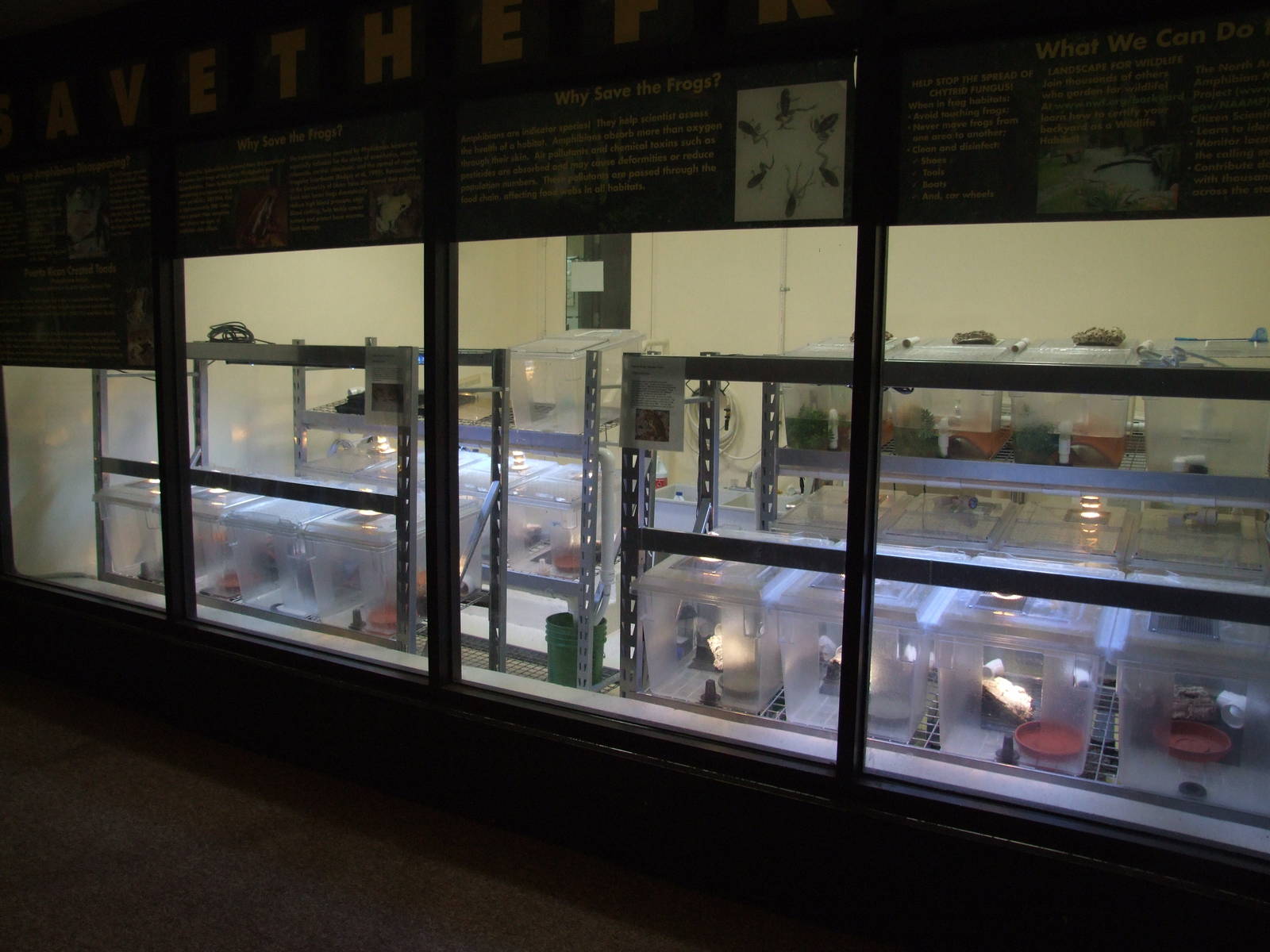 Amphibian Centre at Jacksonville, 10/10/13