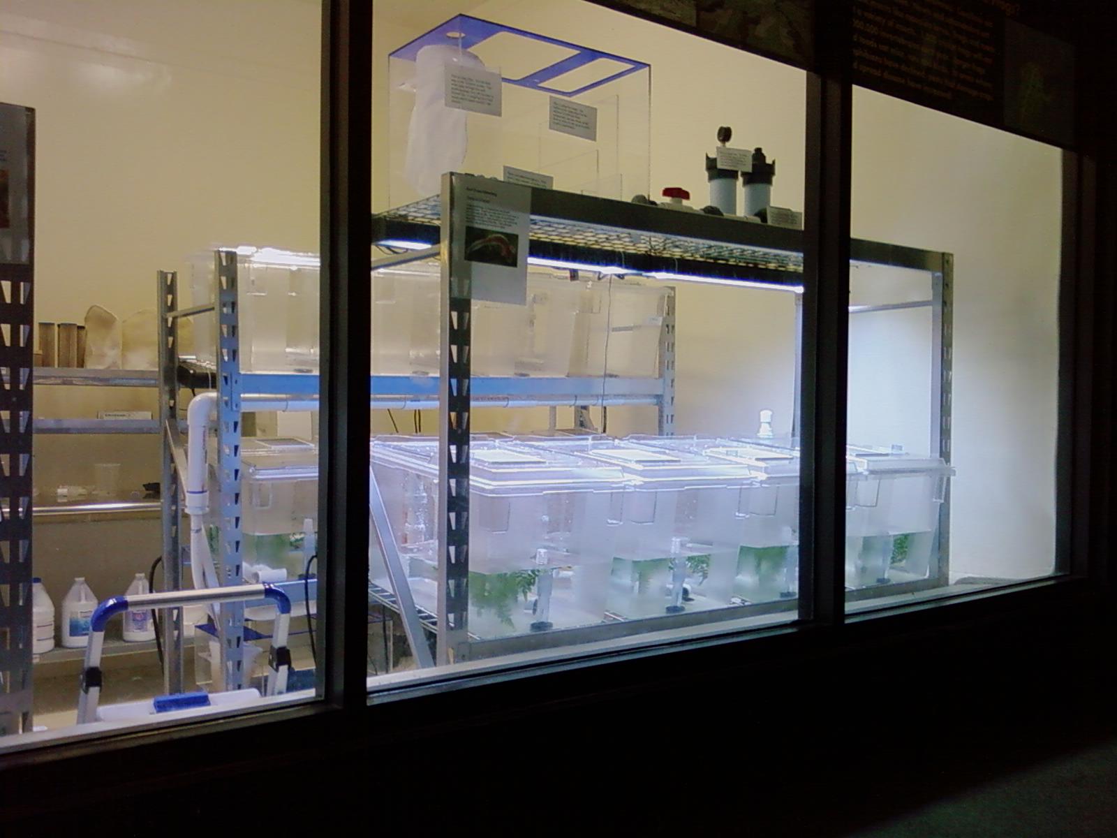 Amphibian Conservation Center