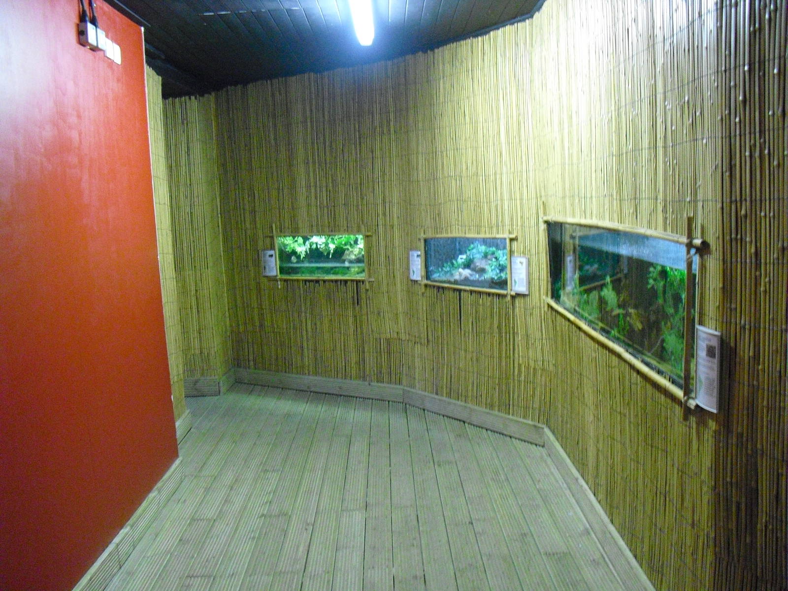 Amphibian Displays - 12/10/2011