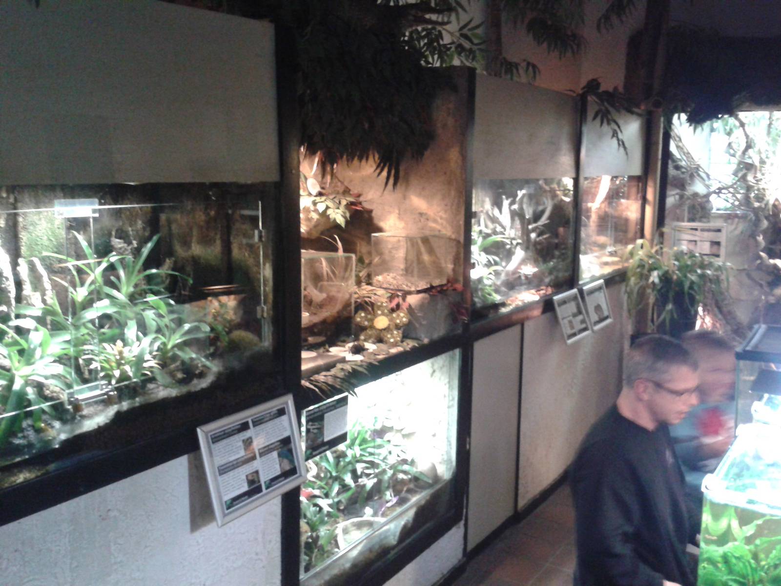 amphibian enclosures