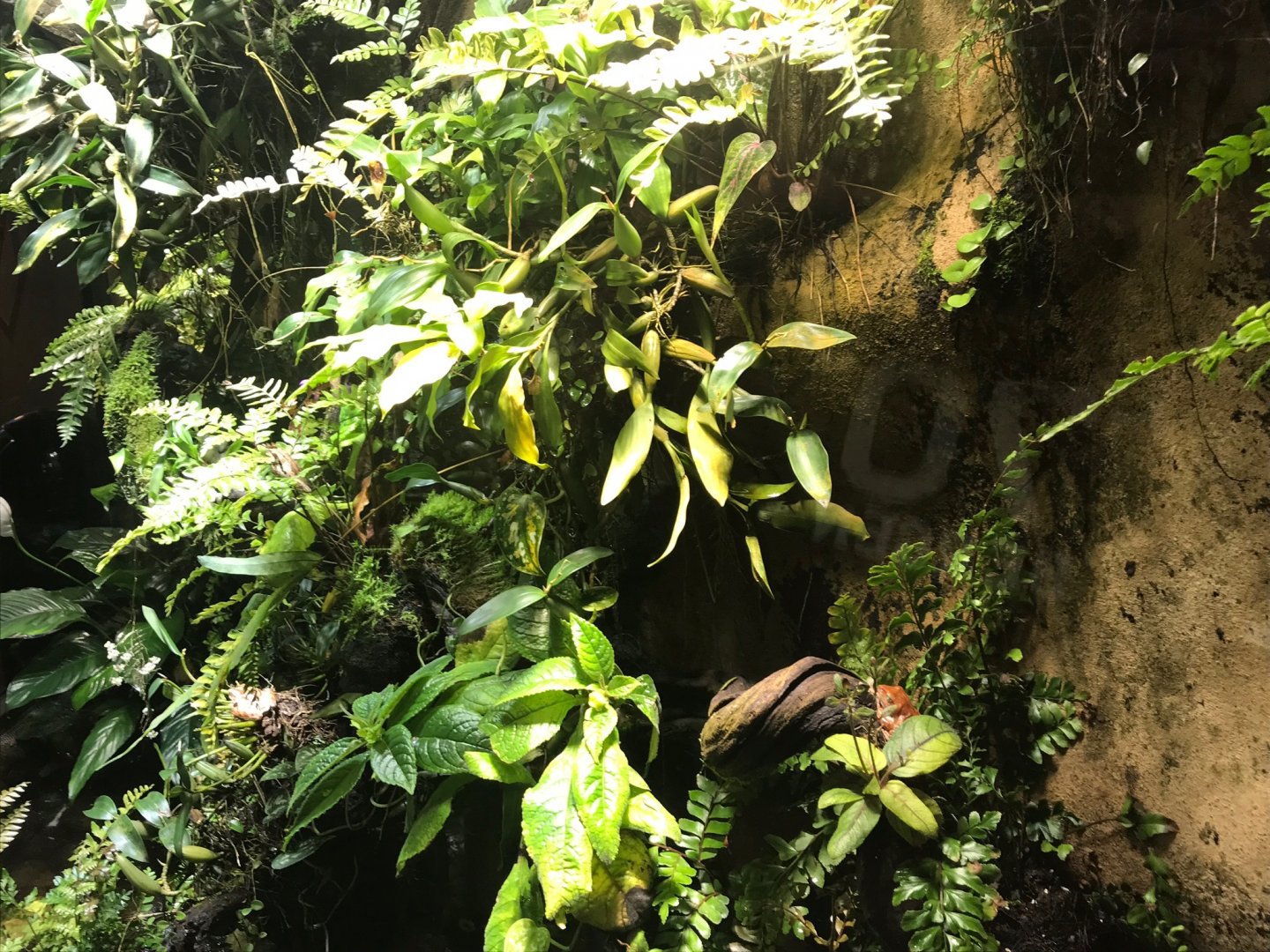 Amphibian exhibit 270118