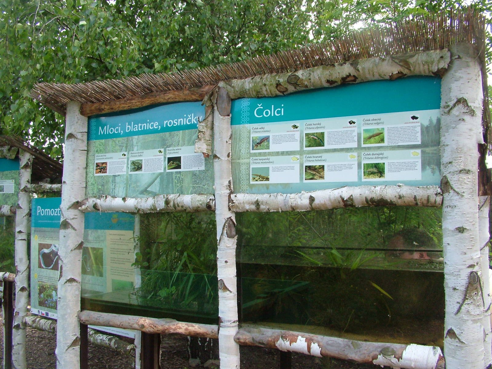 Amphibian exhibit at Plzen, 25/05/10