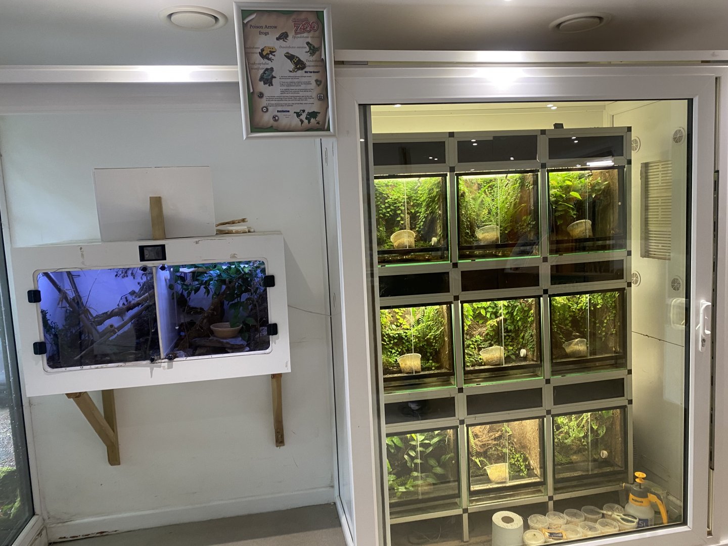 Amphibian exhibits 050625