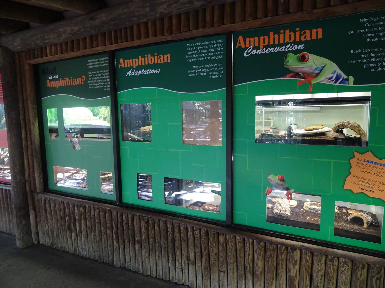 Amphibian Exhibits at Busch Gardens Tampa