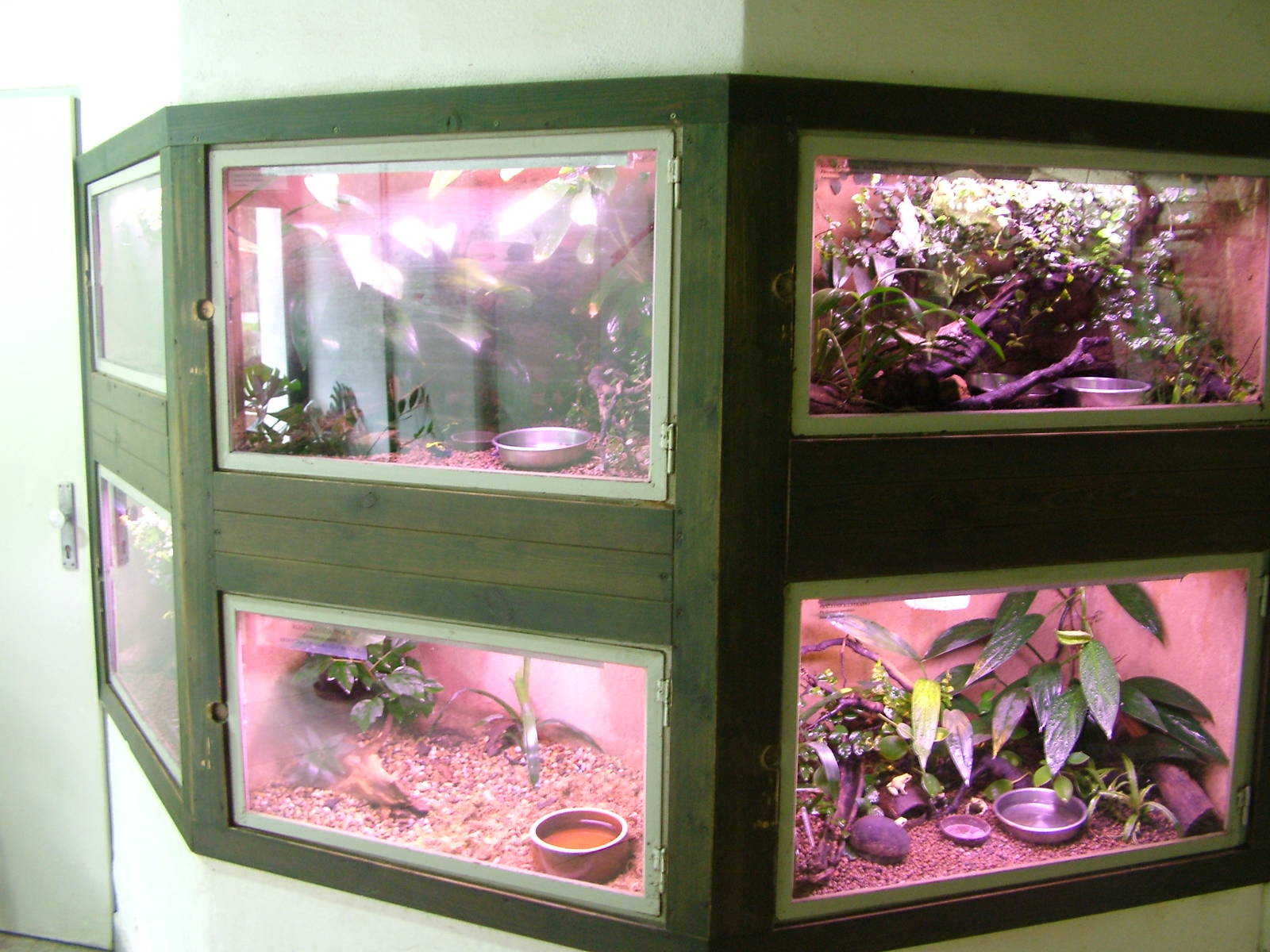 Amphibian exhibits at Jihlava, 31/05/10