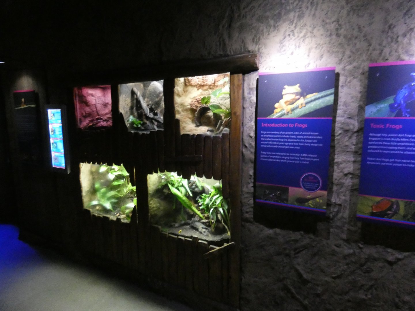 Amphibian exhibits