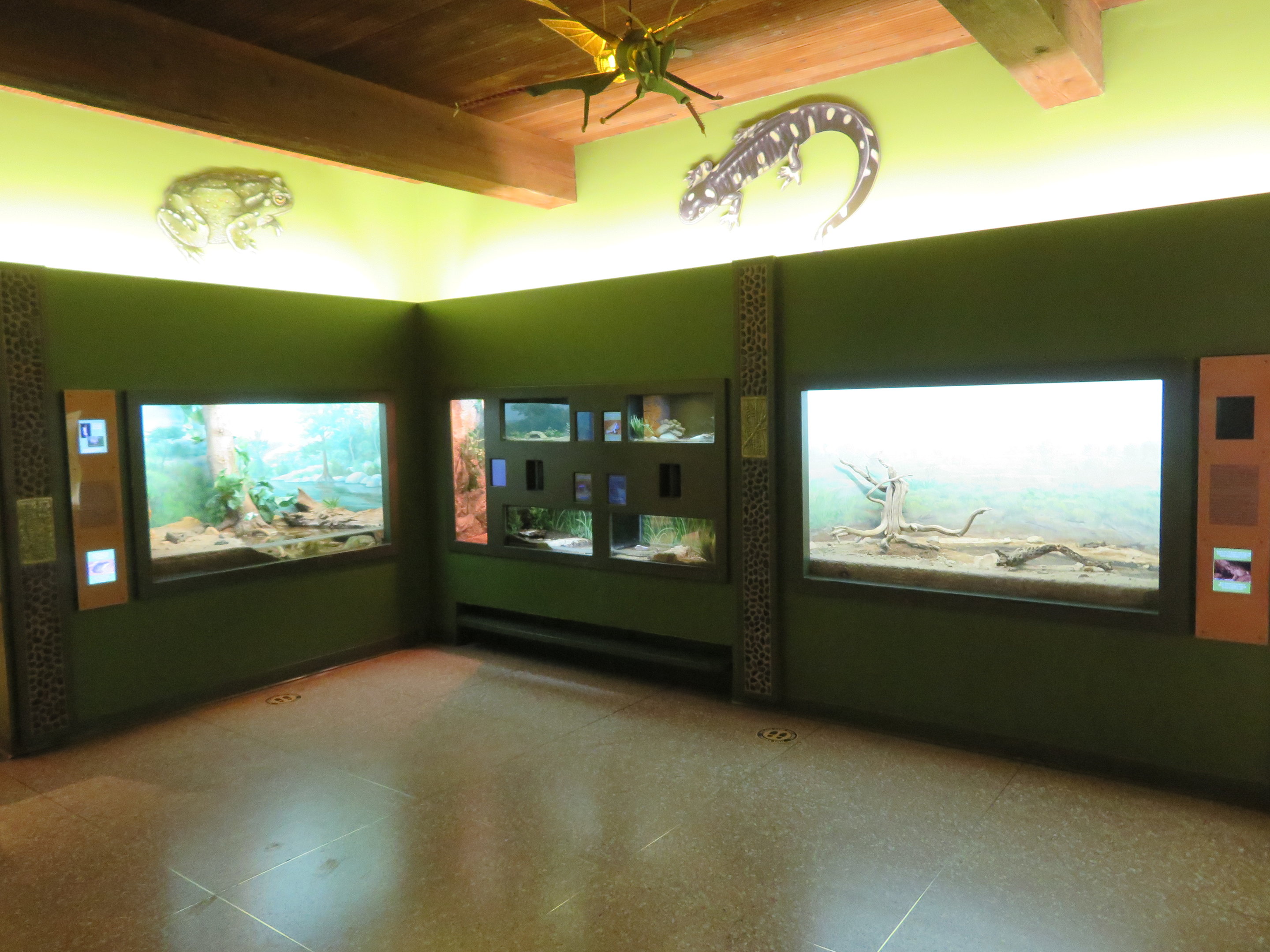 Amphibian Exhibits