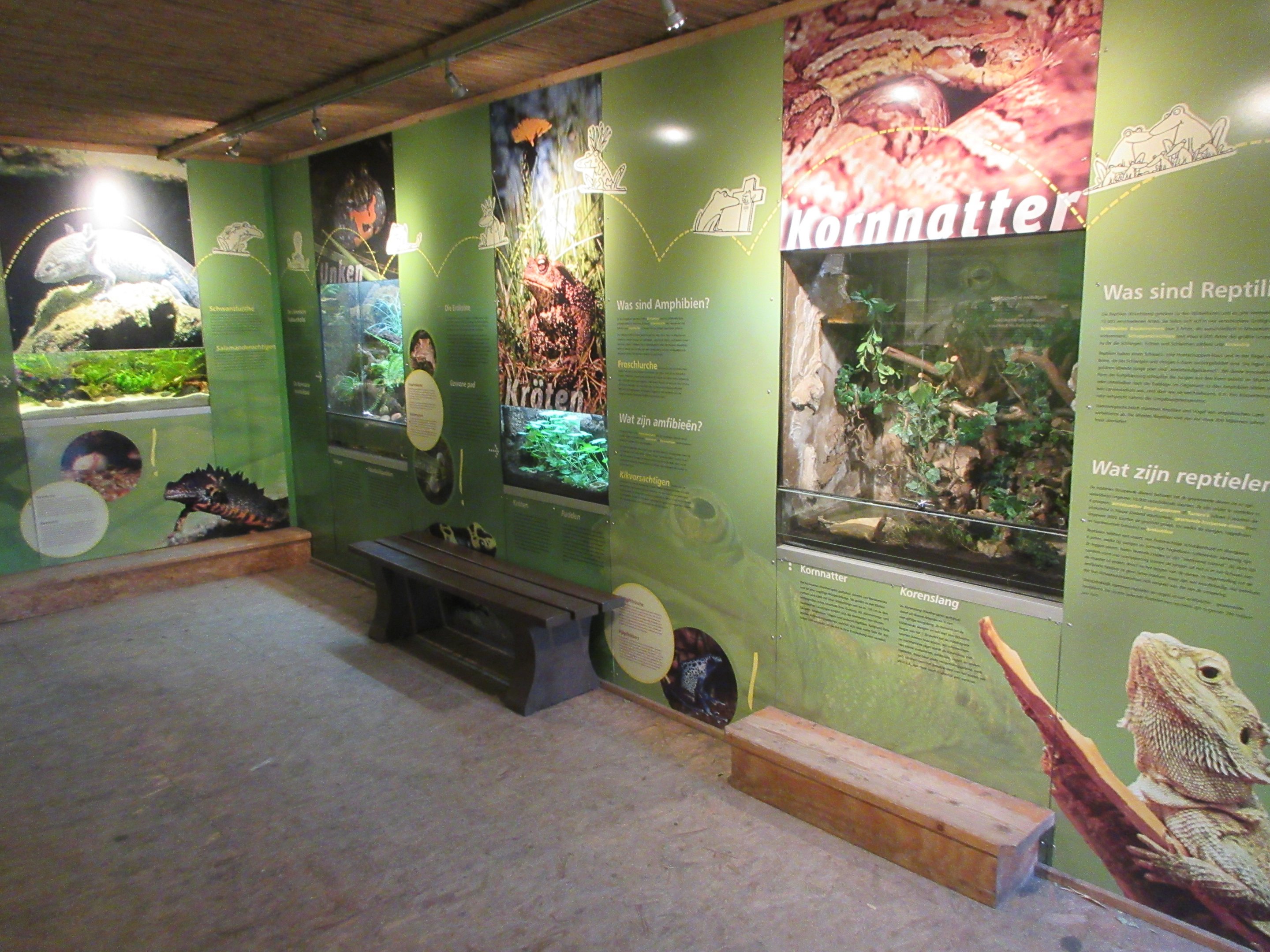 Amphibian House (4-5 exhibits)