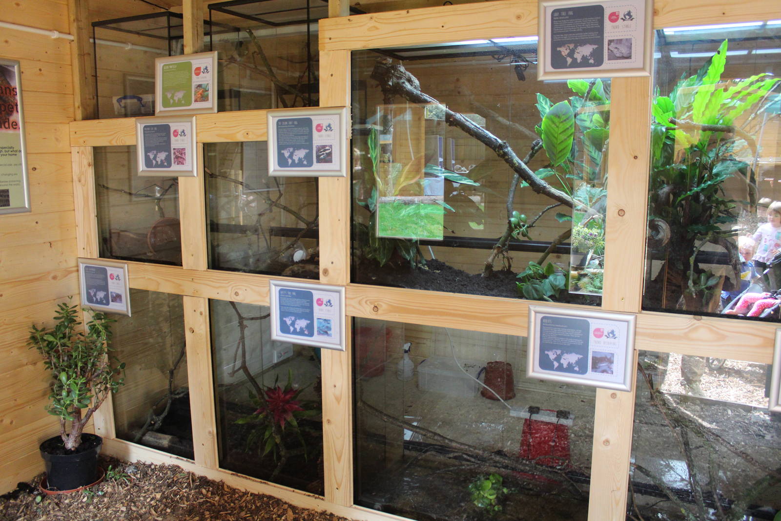 Amphibian House; Hemsley Conservation Centre
