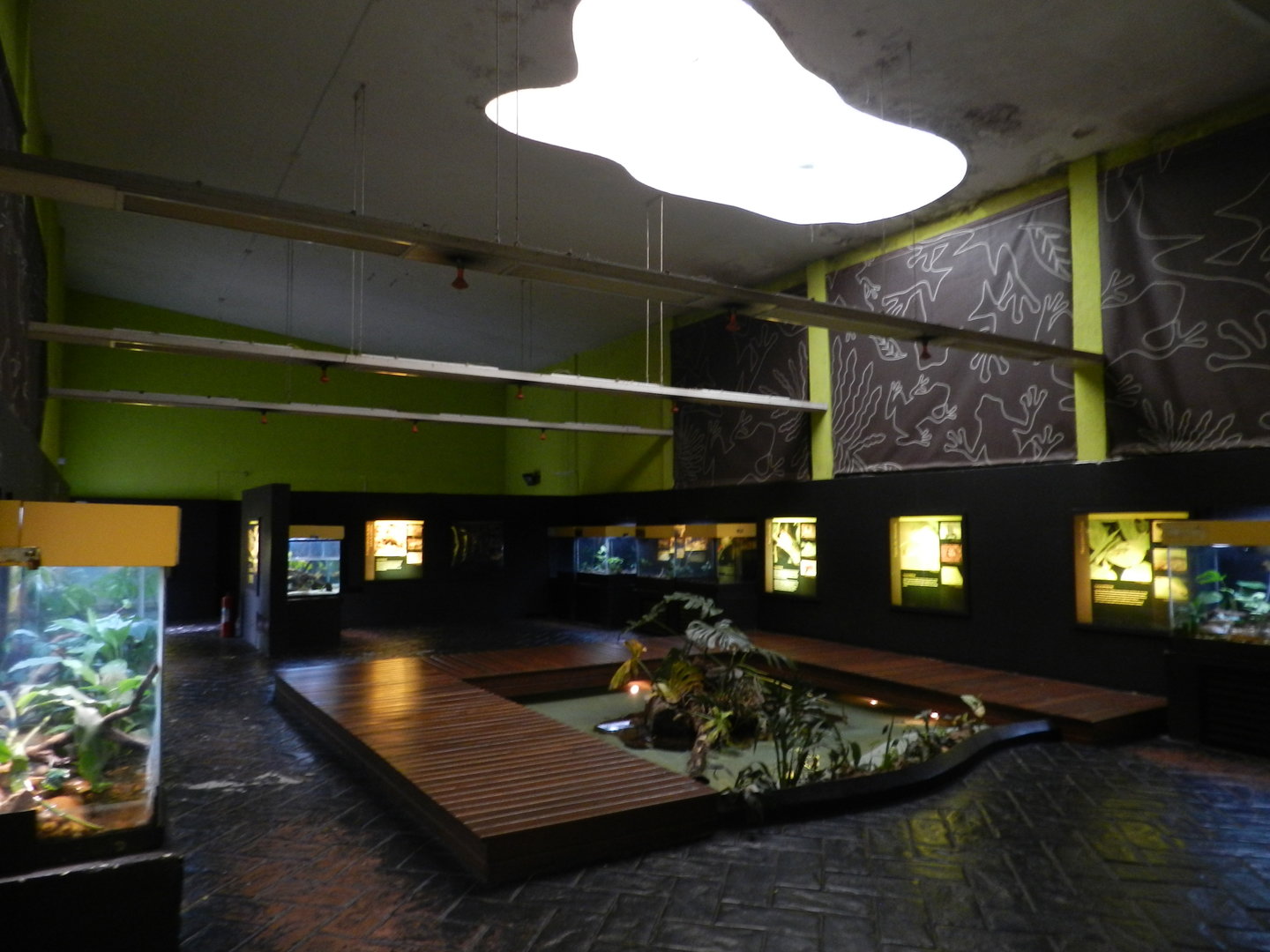 Amphibian house - Zoo São Paulo