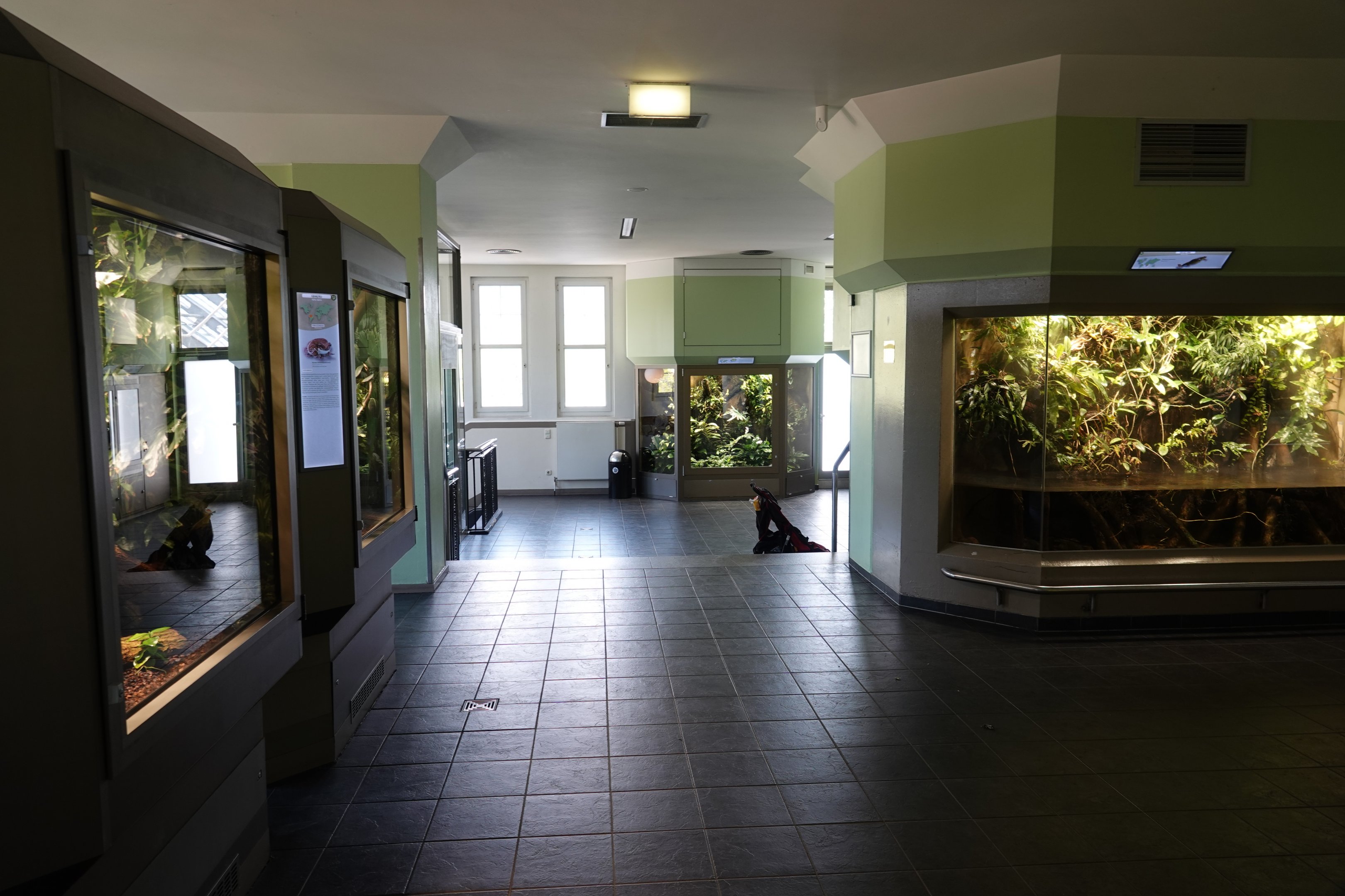 Amphibian level view