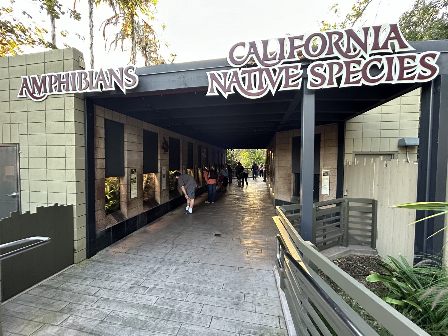 Amphibian & Native Herp Exhibits - Reptile Walk