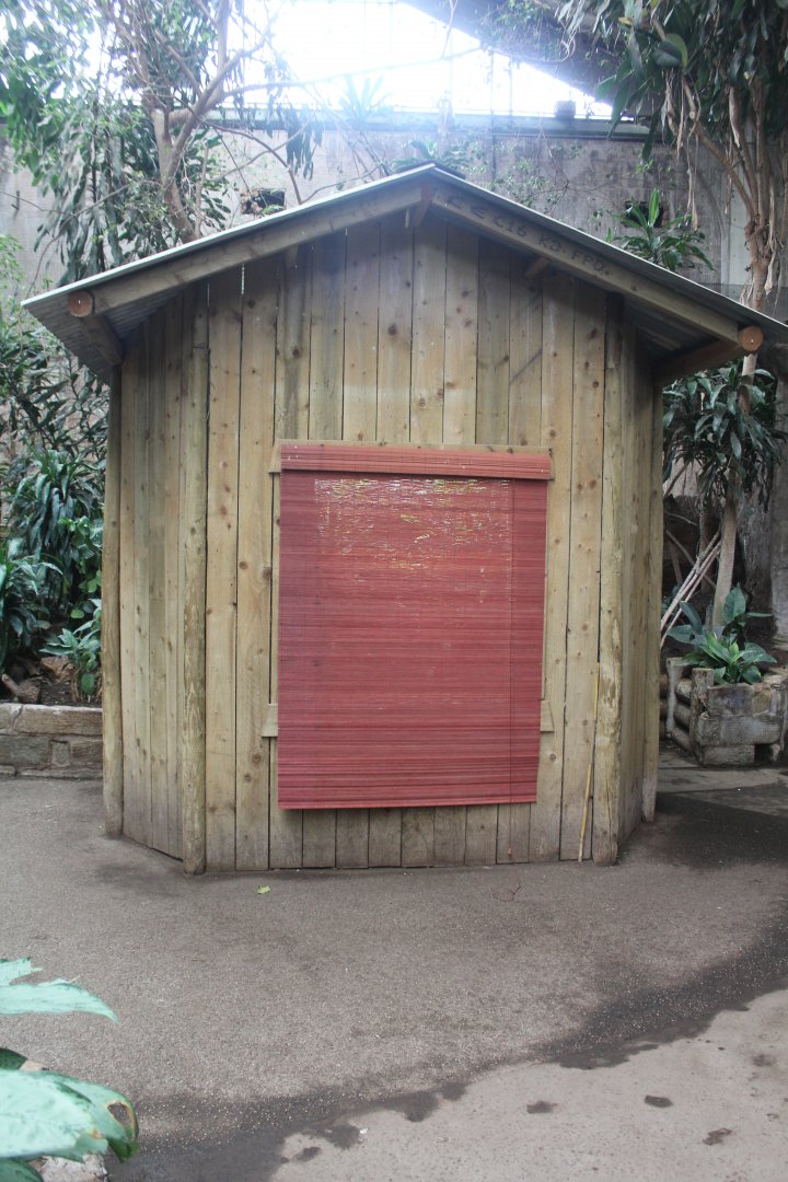 Amphibian Pod Chester Zoo 9th February 2024