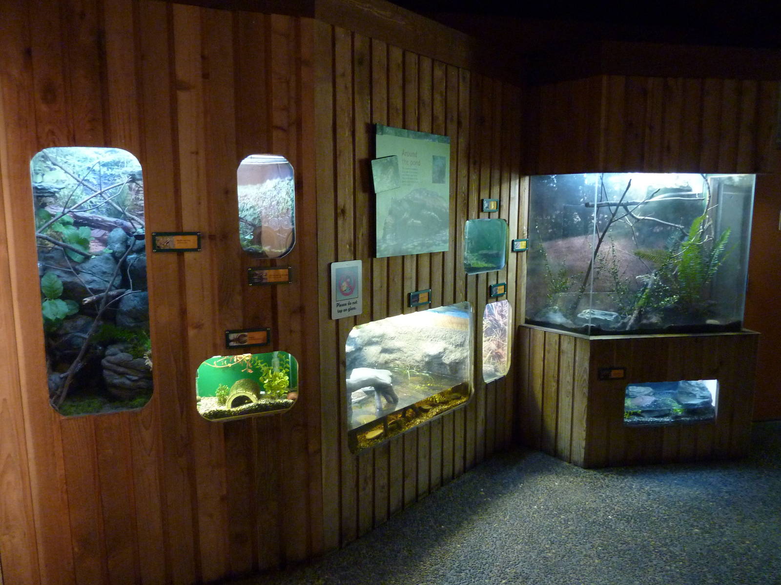 Amphibian/Reptile Terrariums