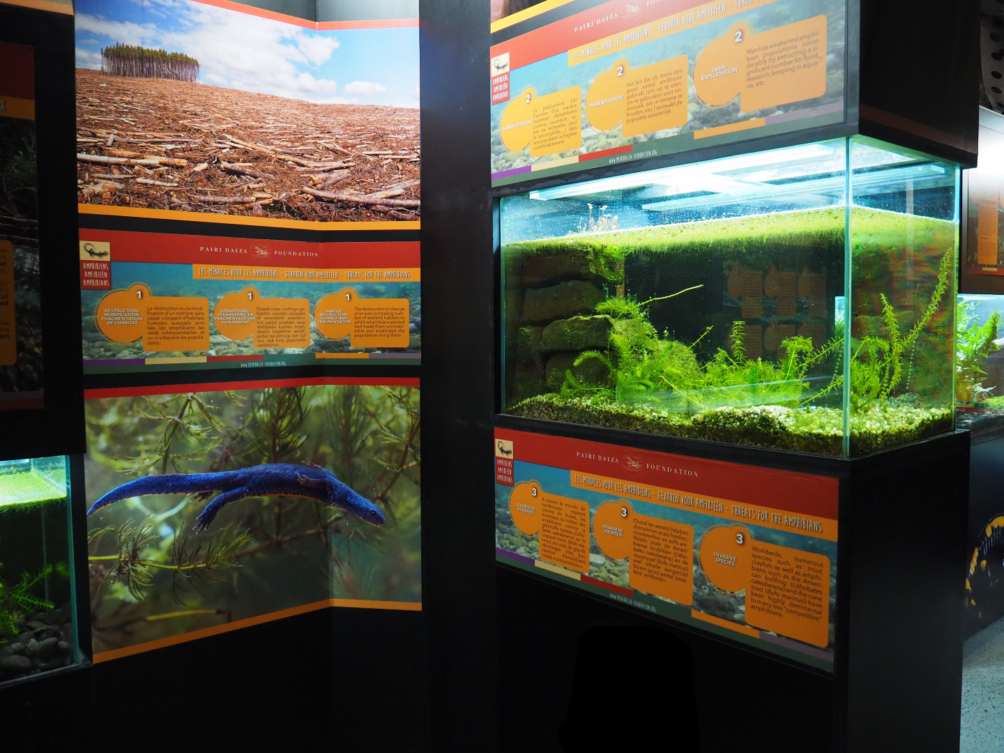 Amphibian room at the end of the crypt, 2019-10-05