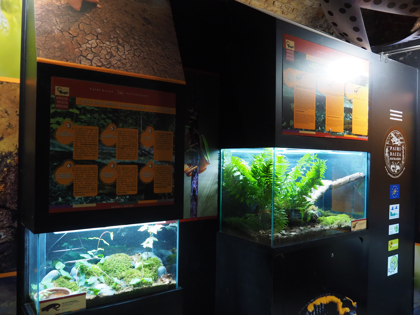 Amphibian room at the end of the crypt, 2019-10-05