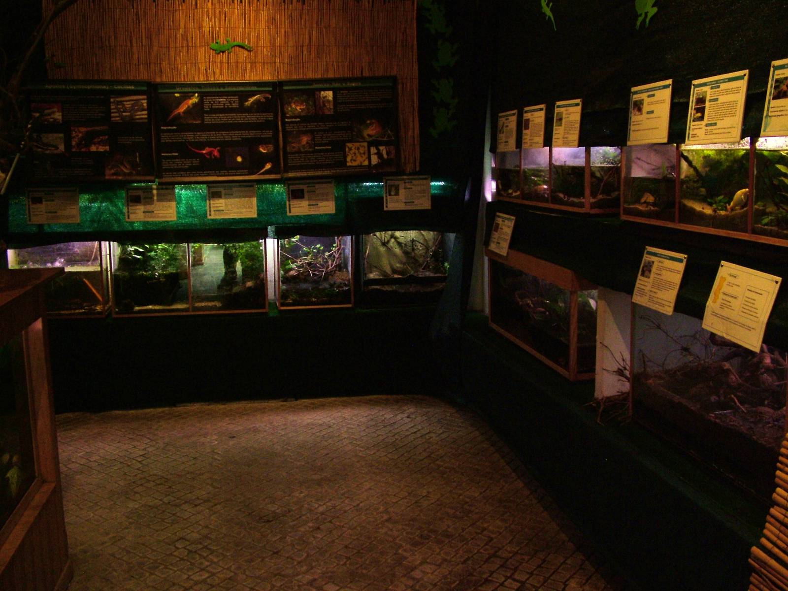 Amphibian Room at Vasco da Gama Aquarium, 25/05/11