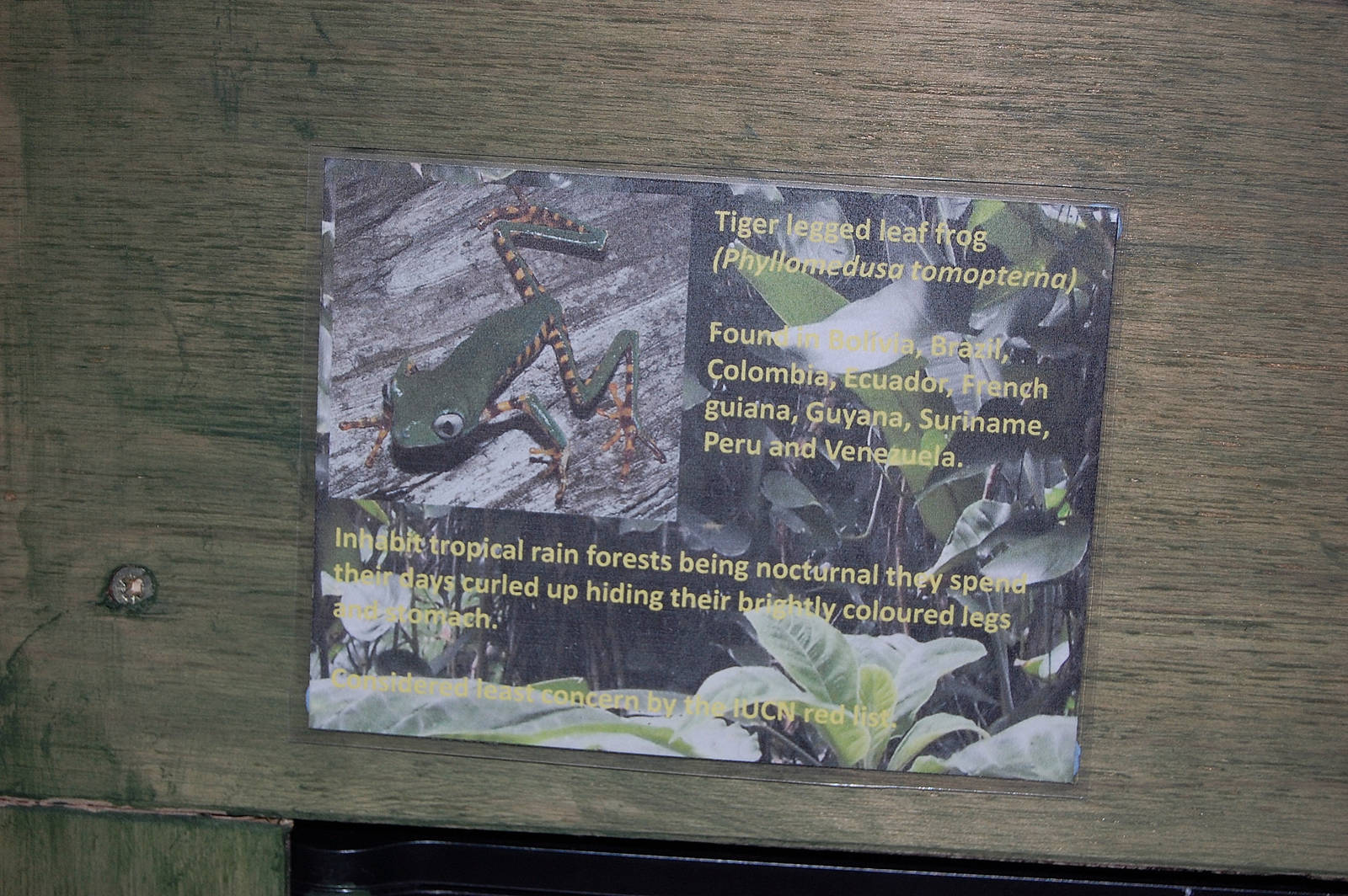Amphibian Room Example of Signage